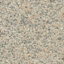 Nero Santiago Wall Decorative Price Per Square Meter of Granite